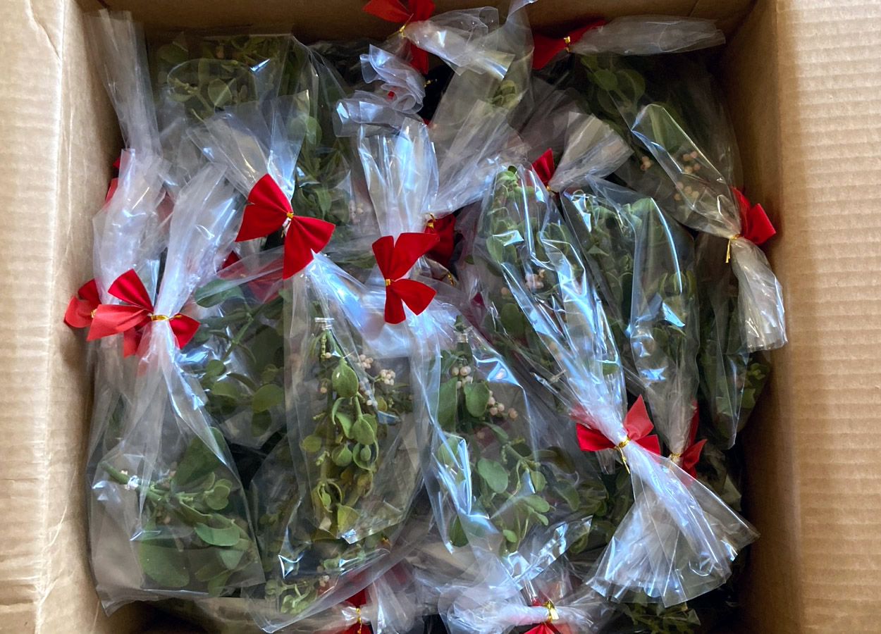 Custom Pieces Mistletoe